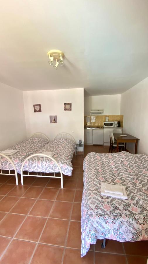 Appartements " Le Clos De La Cerisaie" Castillon-du-Gard Kültér fotó